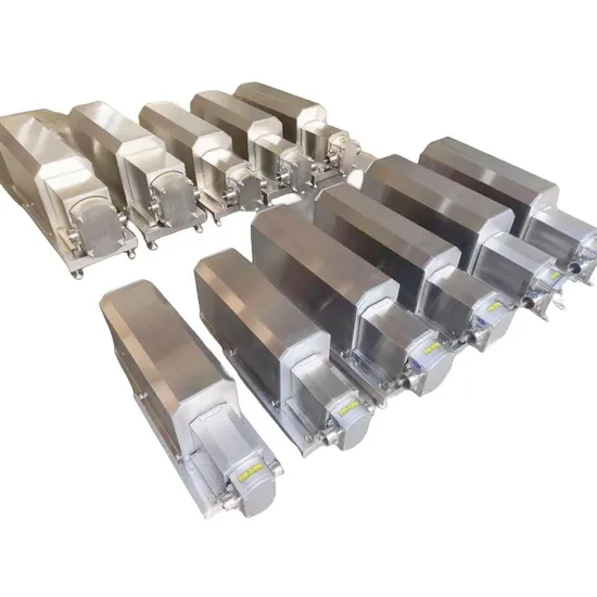 Stainless Steel Thick Slurry Delivery Pump Rotor Pump Cam Pump