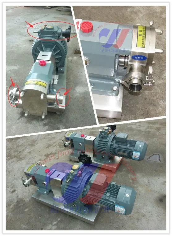 Sanitary Stainless Steel High Pressure Cam Rotor Pump