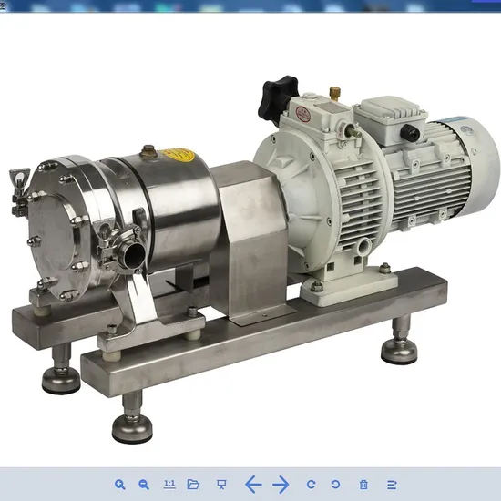 Sanitary Stainless Steel Rotor Pump