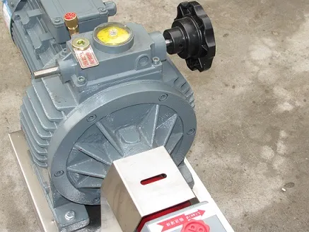 Ss304L Material Rotor Pump for Chocolate, Honey, Ice Cream, Cosmetic