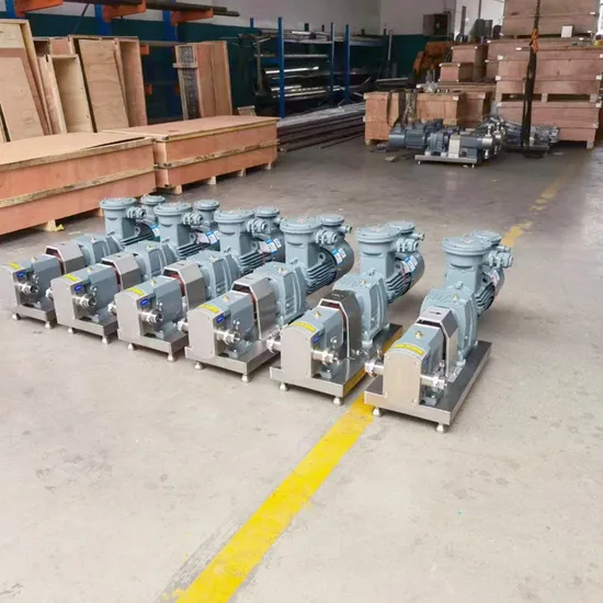 Stainless Steel Thick Slurry Delivery Pump Rotor Pump Cam Pump