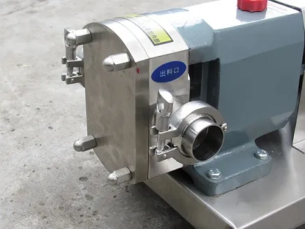Ss304L Material Rotor Pump for Chocolate, Honey, Ice Cream, Cosmetic