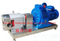 Stainless Steel Rotor Pump-High Viscosity of Jam