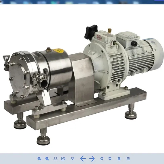 Stainless Steel Thick Slurry Delivery Pump Rotor Pump Cam Pump