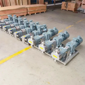 Rotor Pump Slurry Pump Cam Pump Screw Pump