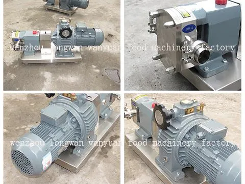 Ss304 Rotary Lobe Pump for Chocolate, Honey, Ice Cream, Cosmetic