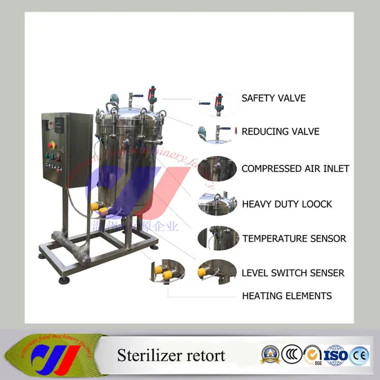 Brand New Small-Scale Vertical Electric Autoclave Sterilizer Retort